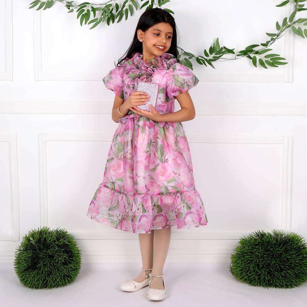 Fabulla Fashion Organza Dress