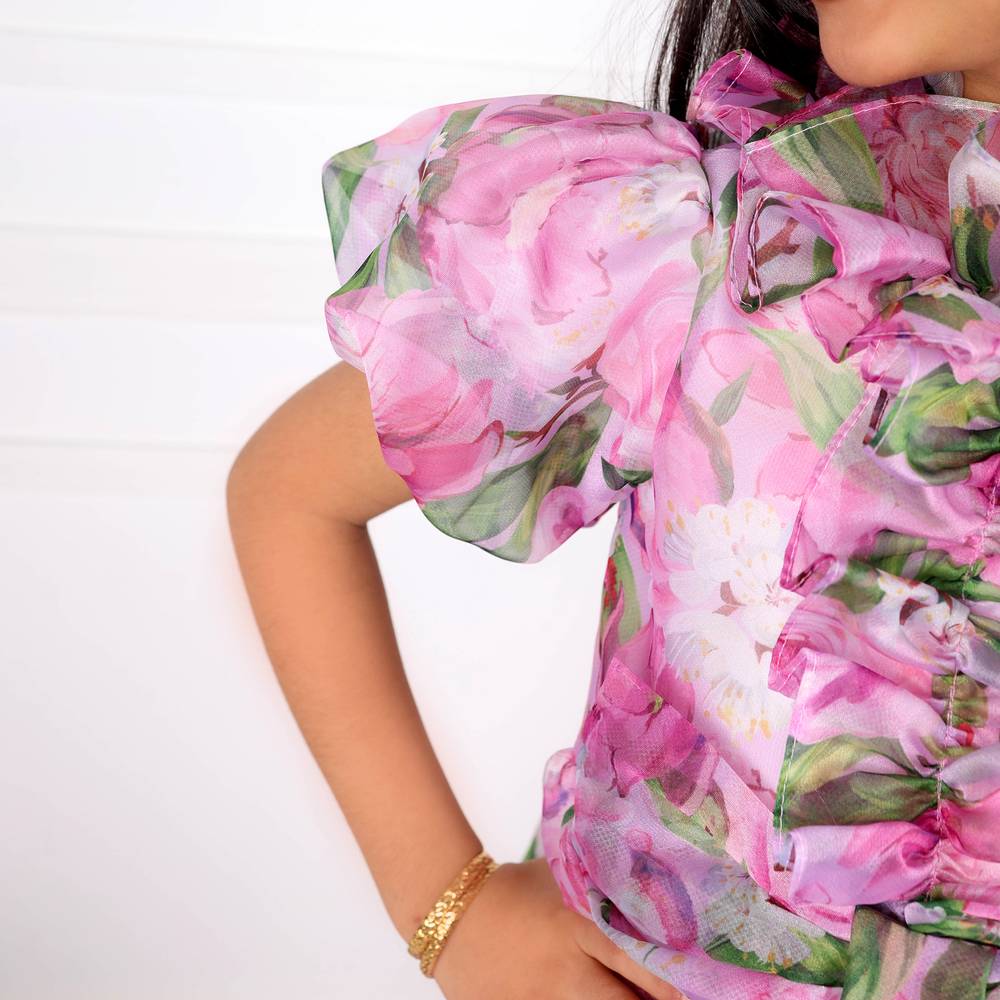 Fabulla Fashion Organza Dress