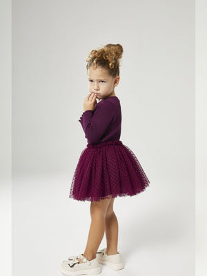 Burgundy Velvet and Tulle Set - Fabulla Fashion