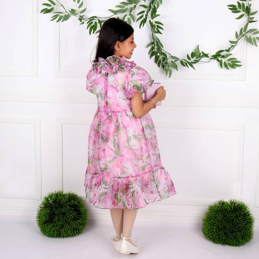 Fabulla Fashion Organza Dress