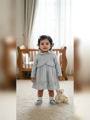 Grey Peter Pan Collar Dress - Fabulla Fashion